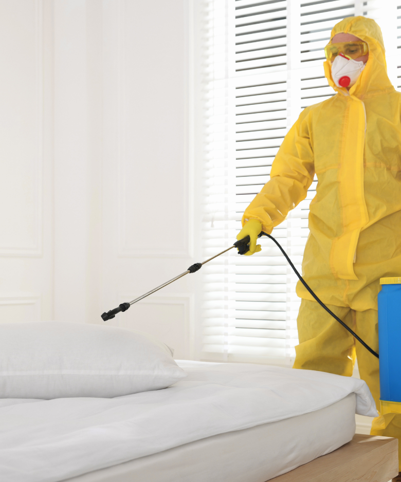Professional Pest Control Team in Woodville North